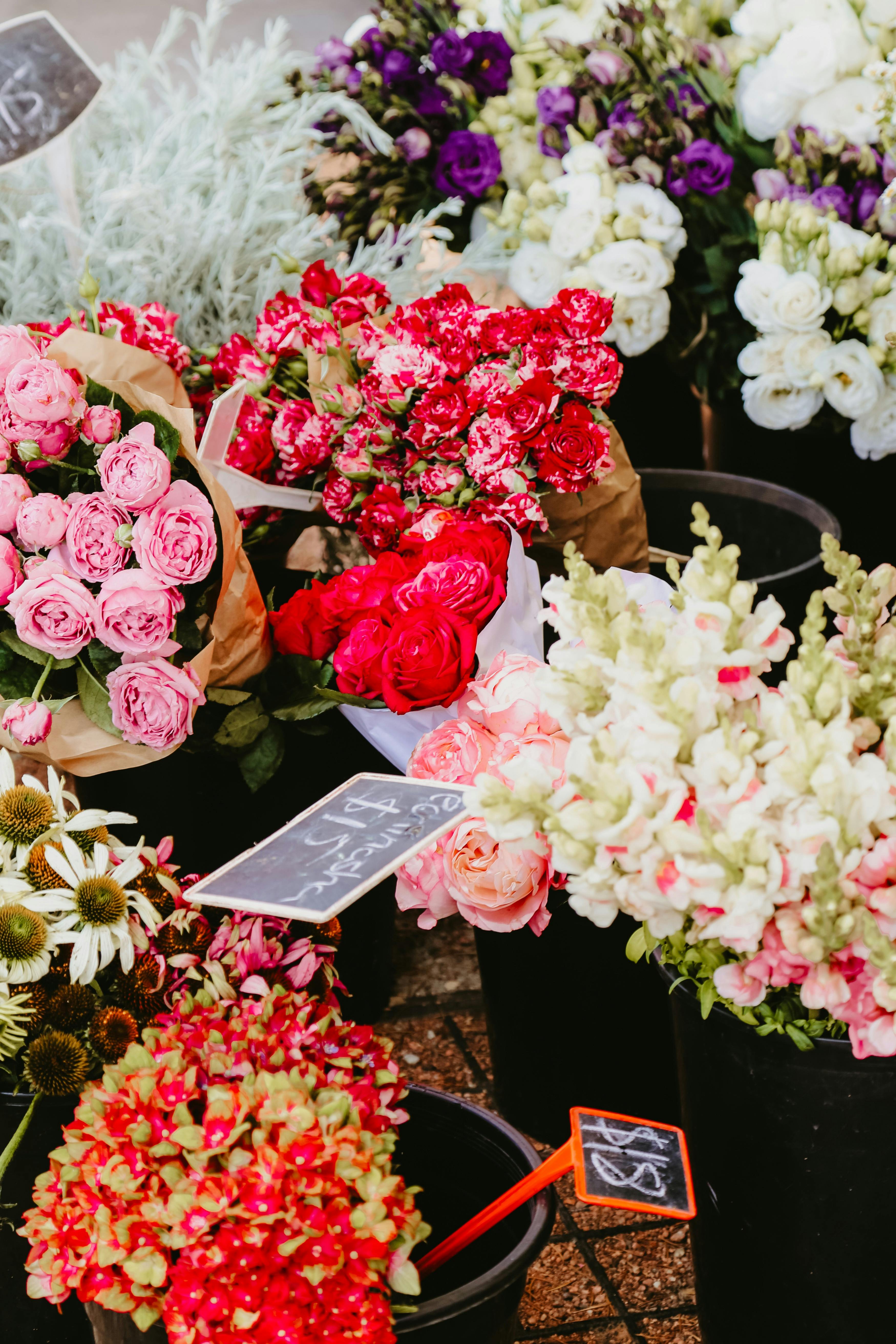Bunches of flowers at Haig Park Village Markets