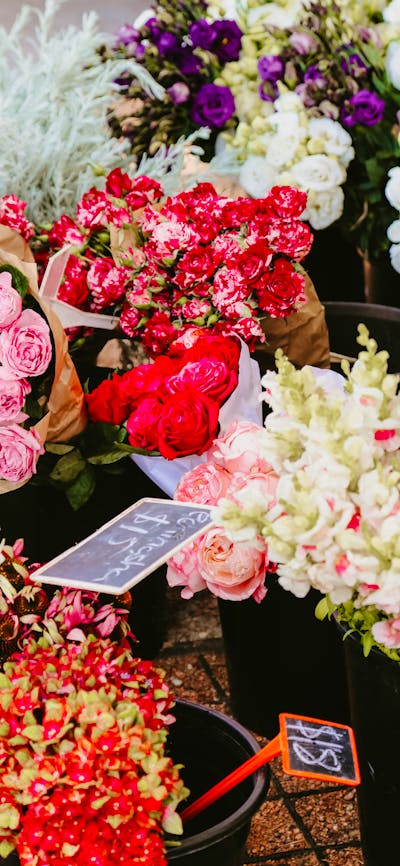 Bunches of flowers at Haig Park Village Markets