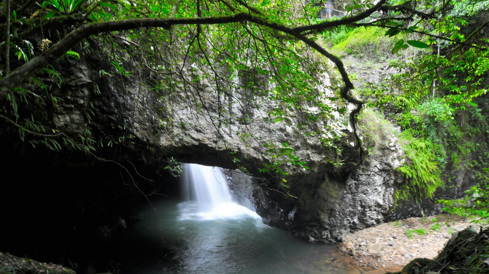 Natural Bridge Gold Coast