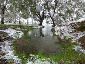 Rainbow Springs Fly Fishing School
