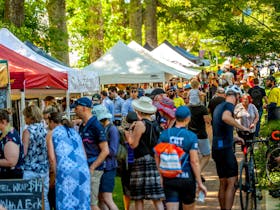 Crowd of people at outdoor market with undercover stalls on tree-lined street in Stirling