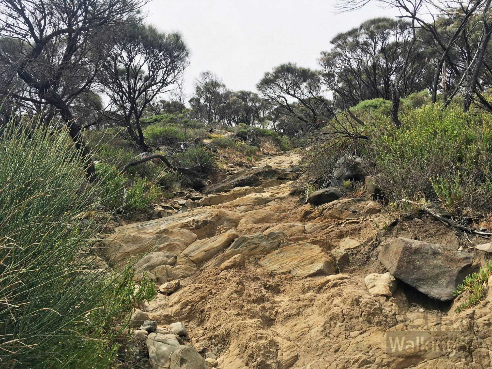 Har­veys Return Hike - Flinders Chase National Park
