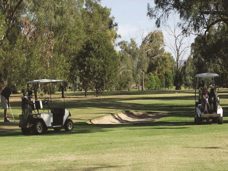 Wellington Golf Club Open With Modified Rules NSW Holidays Wellington Golf Club Open With Modified Rules NSW Holidays