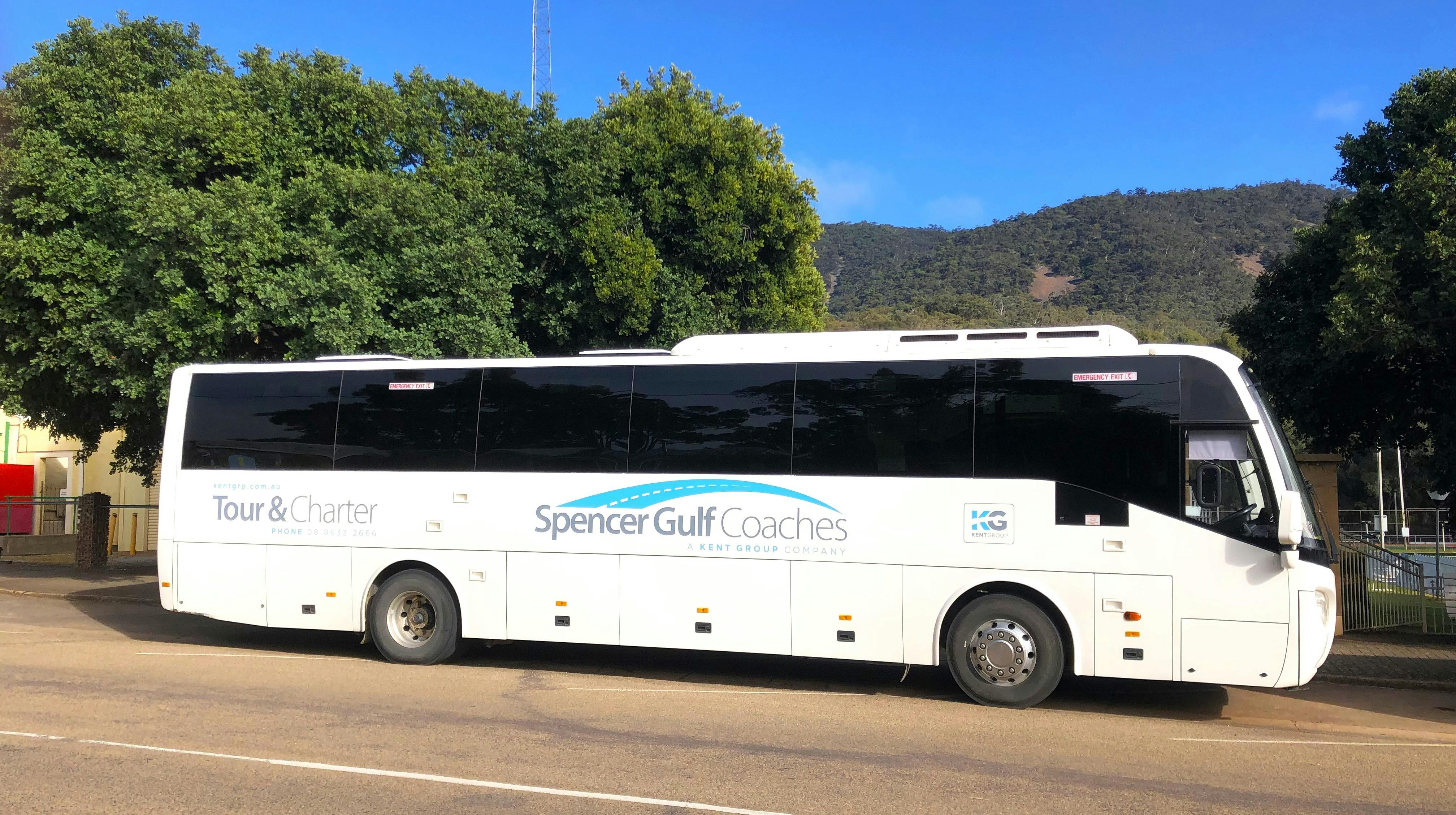 Large Coach with trees and mountain in background