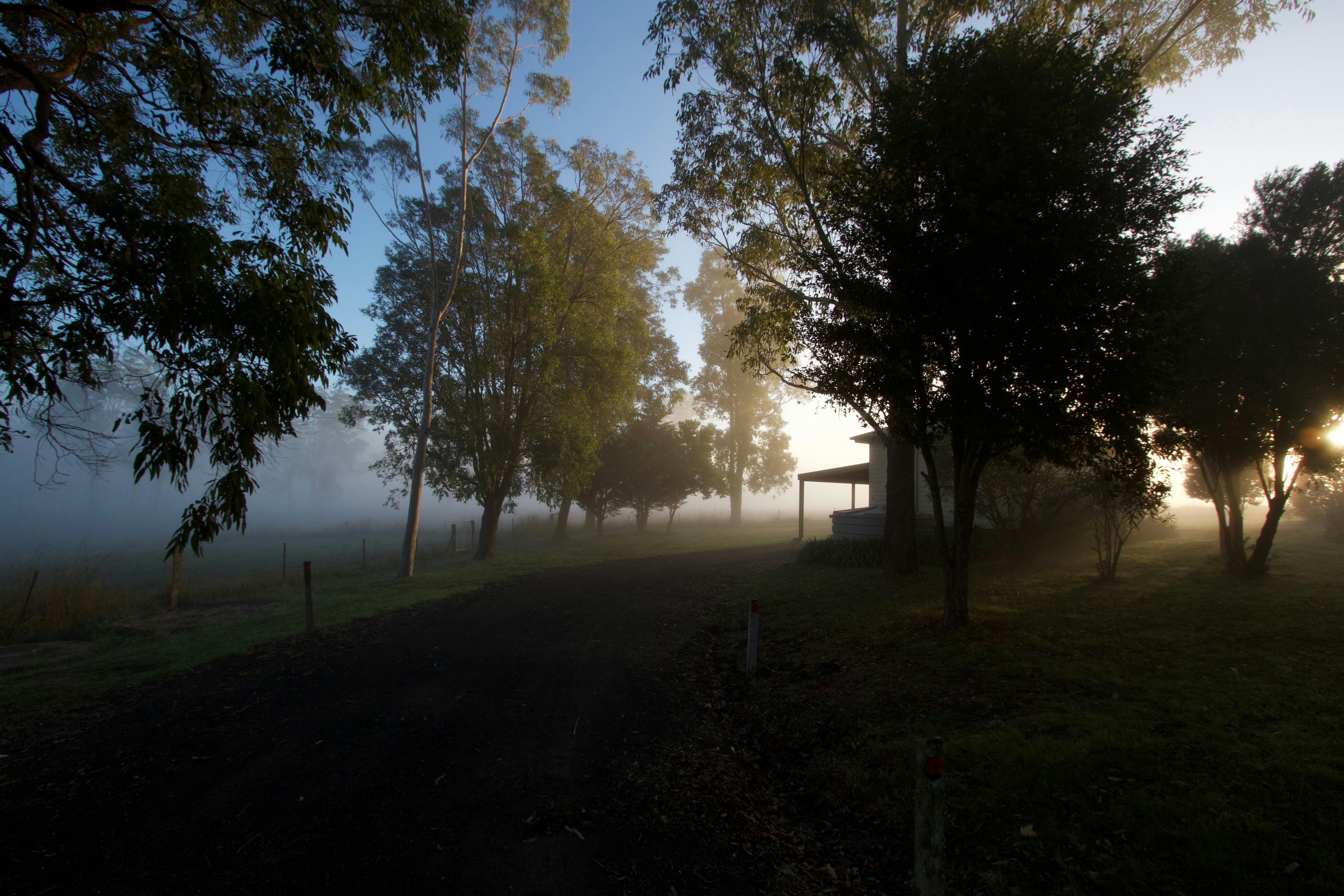 Morning view Cabin 2