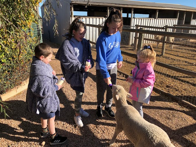 Tarnasey Farm Little Farmer Tours
