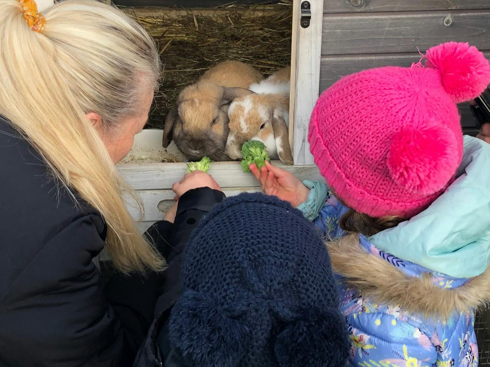 Lady and girls feeding rabbits