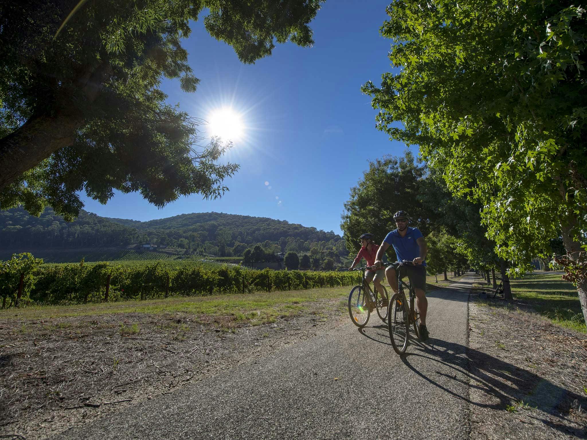 Murray to Mountains Rail Trail Bright to Porepunkah