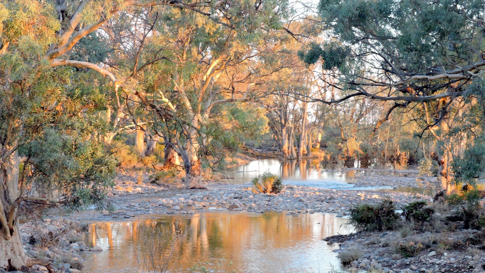 Vulkathunha-Gammon Ranges National Park