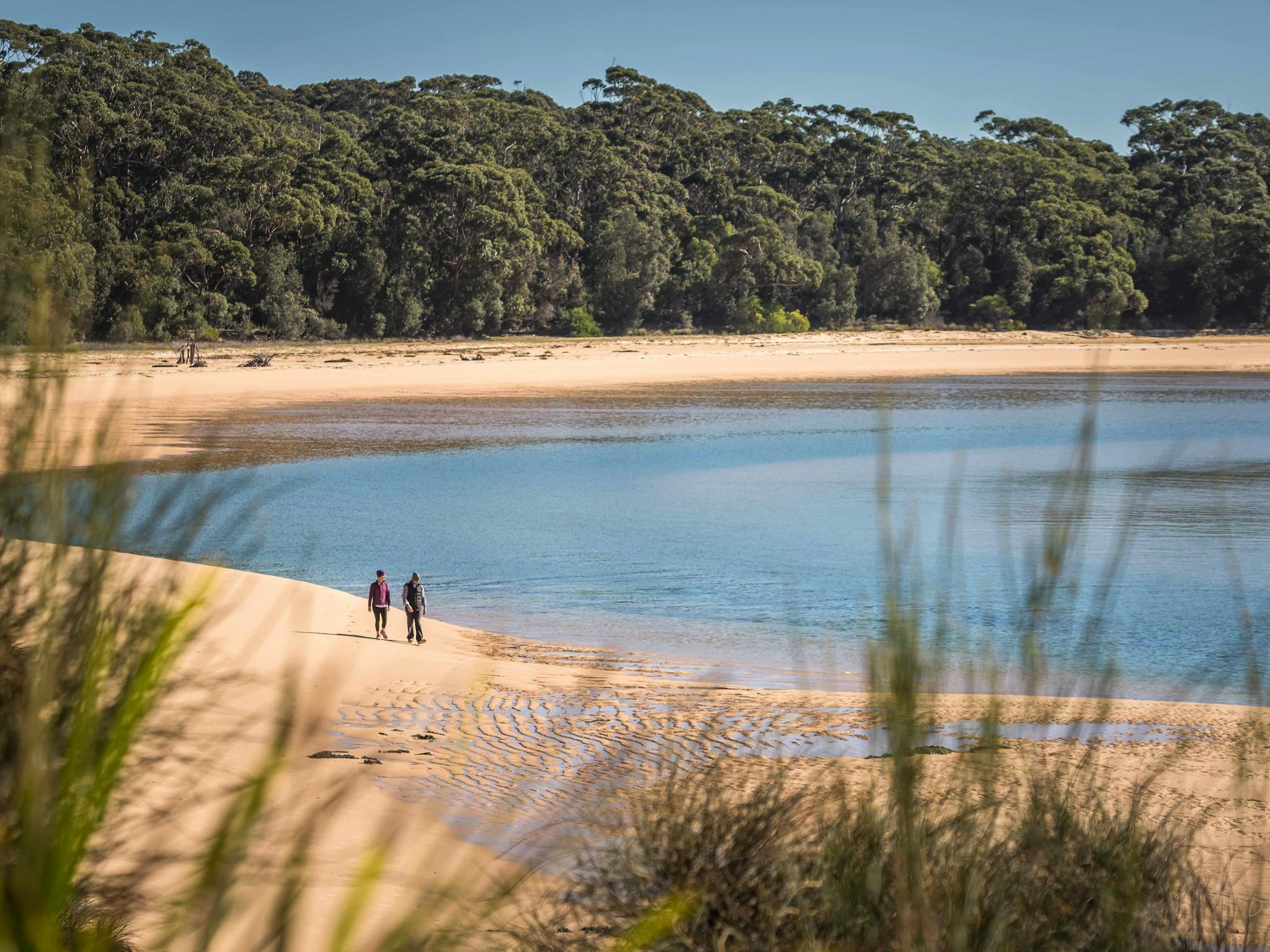 Bither's Inlet Bithry Inlet | NSW Holidays & Accommodation, Things to Do, Attractions ...