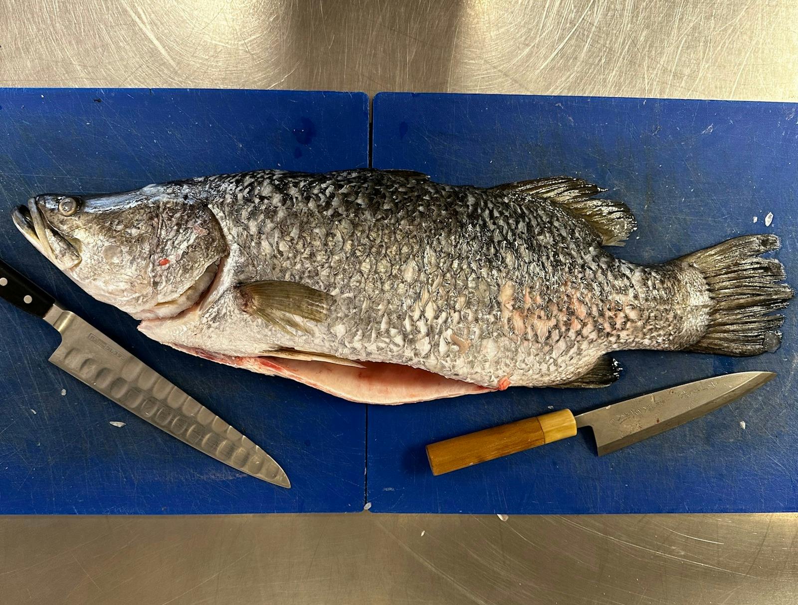 Loaves and Fishes : Good Friday Seafood Feast