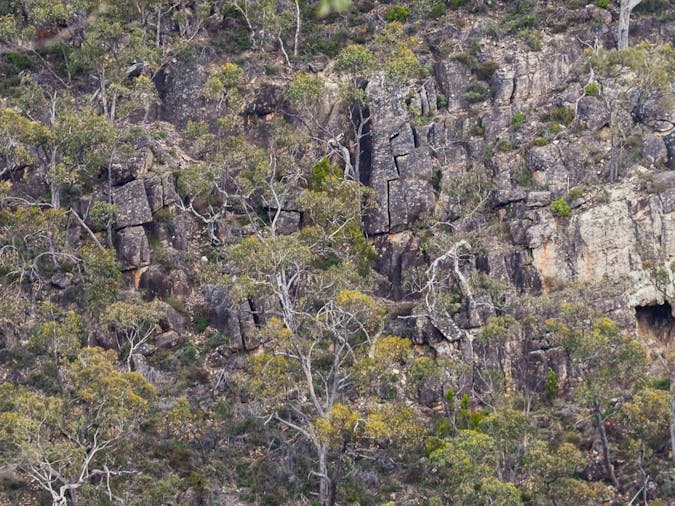 Horsnell Gully and Giles Conservation Parks