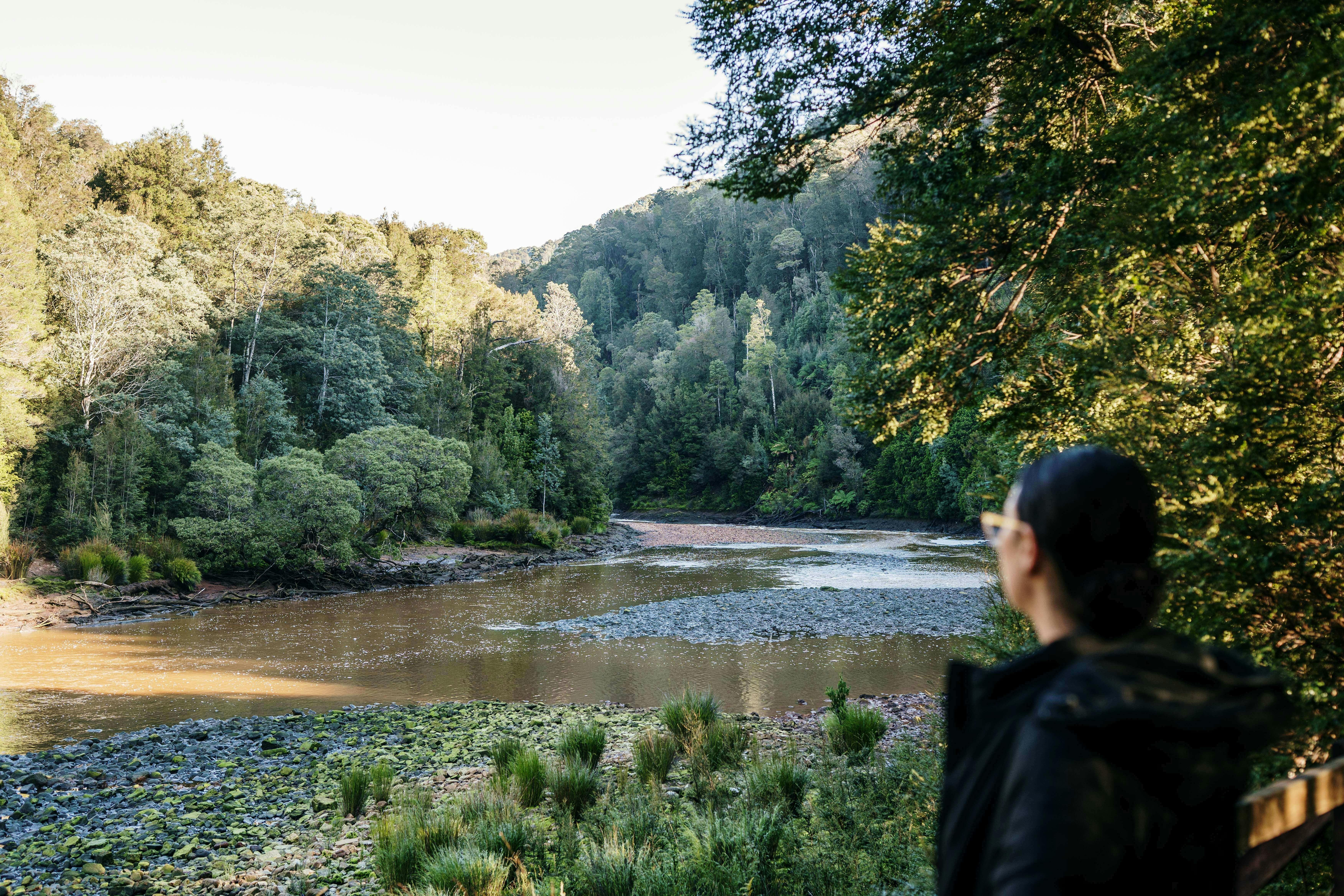 Passengers stands at lookout on rainforest walk at remote station