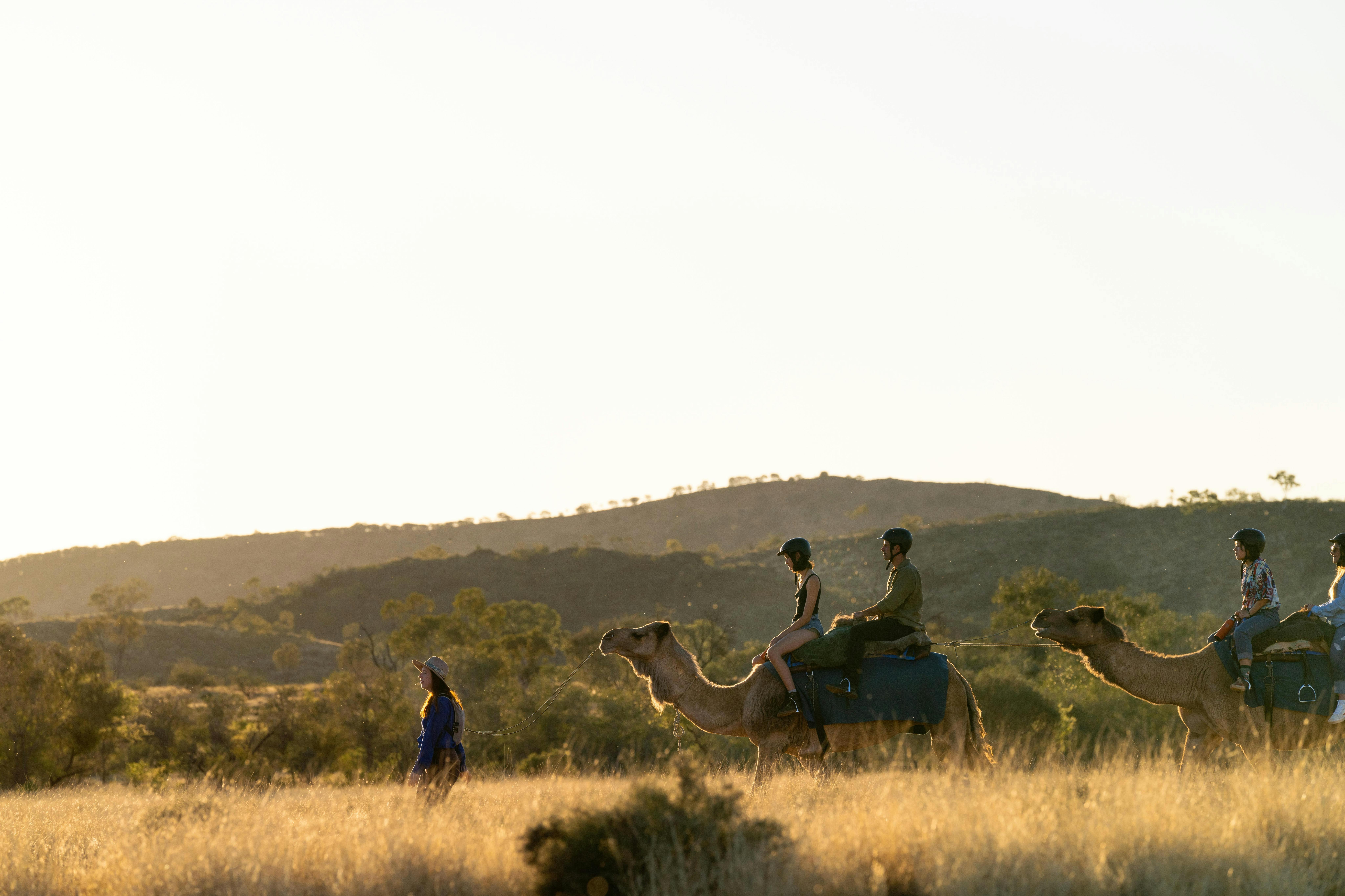 WHat to do in Alice Springs Camel riding