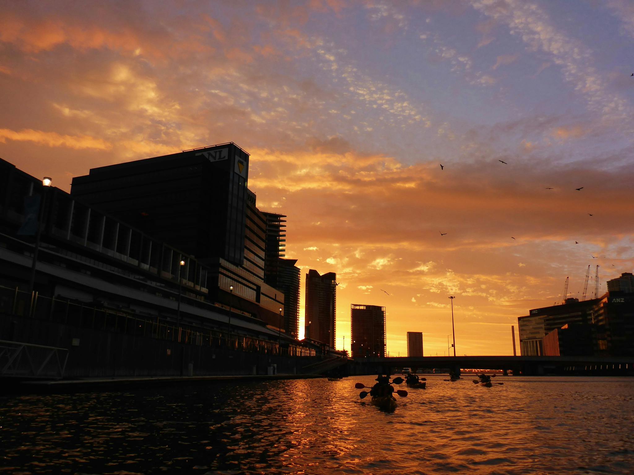 Paddling along South Bank on a Melbourne City Twilight Kayak Tour