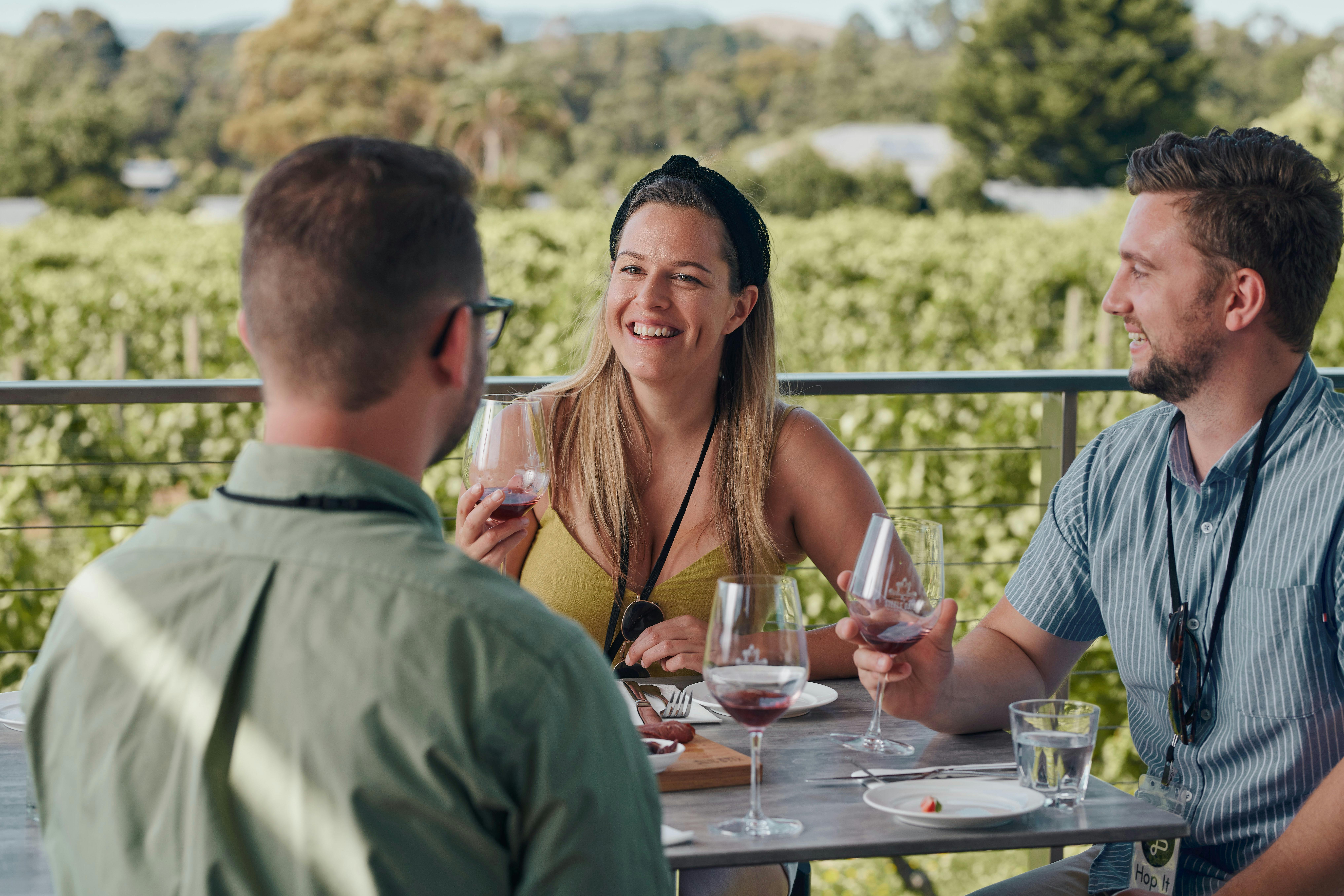 Friends drinking wine