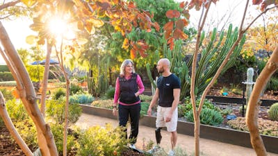 Two people in a garden with autumn leaves and cacti