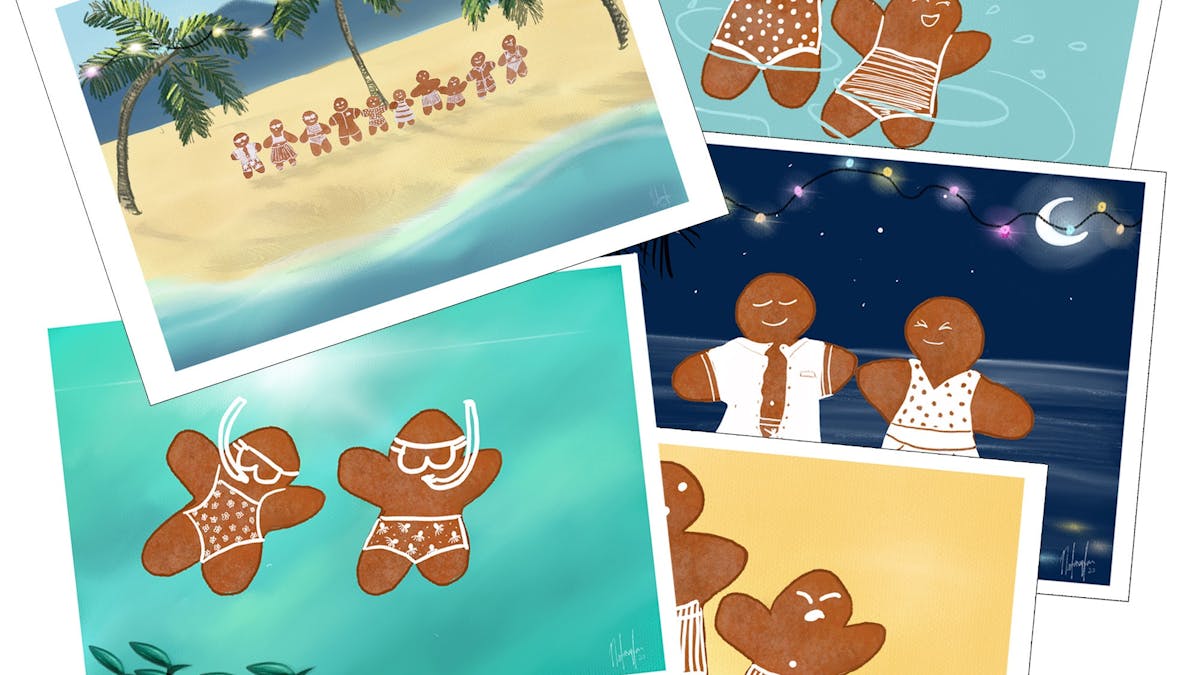 Greeting Cards Little Green Bicycle Art Studio & Shop Palm Cove