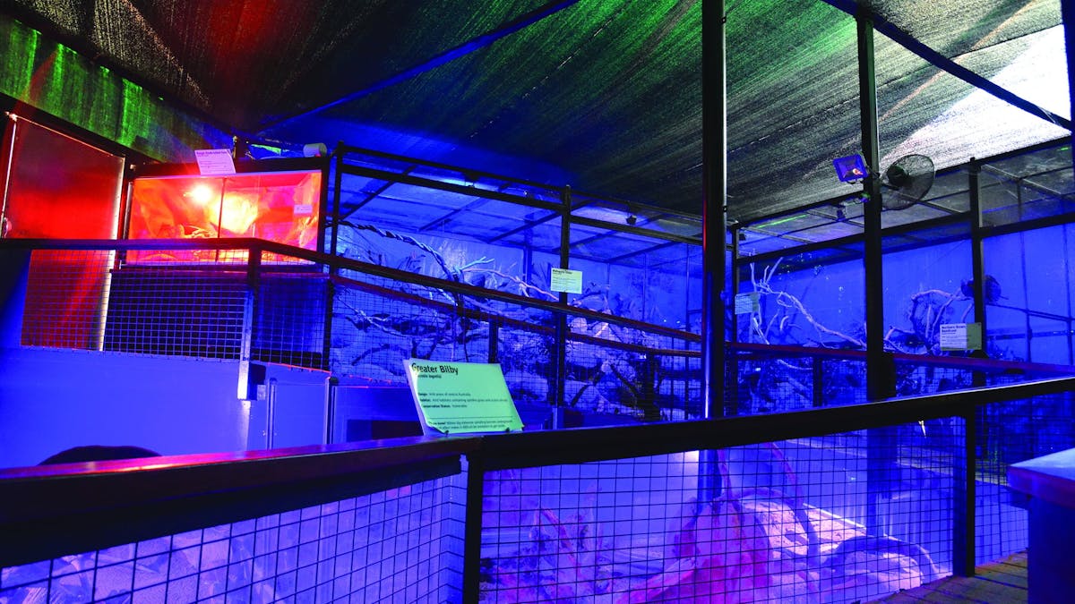 Nocturnal House Kuranda Koala Gardens
