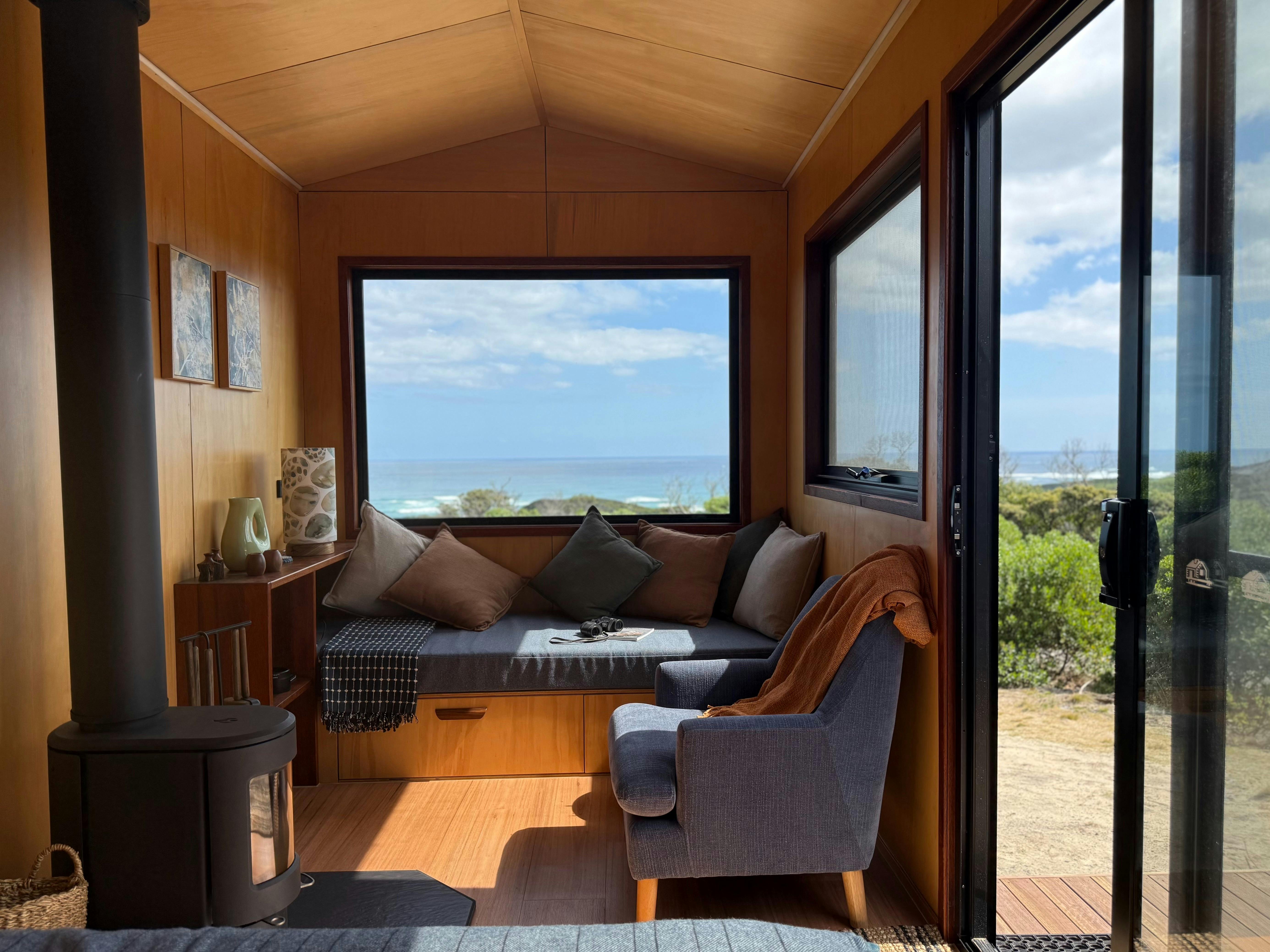 Olearia King Island