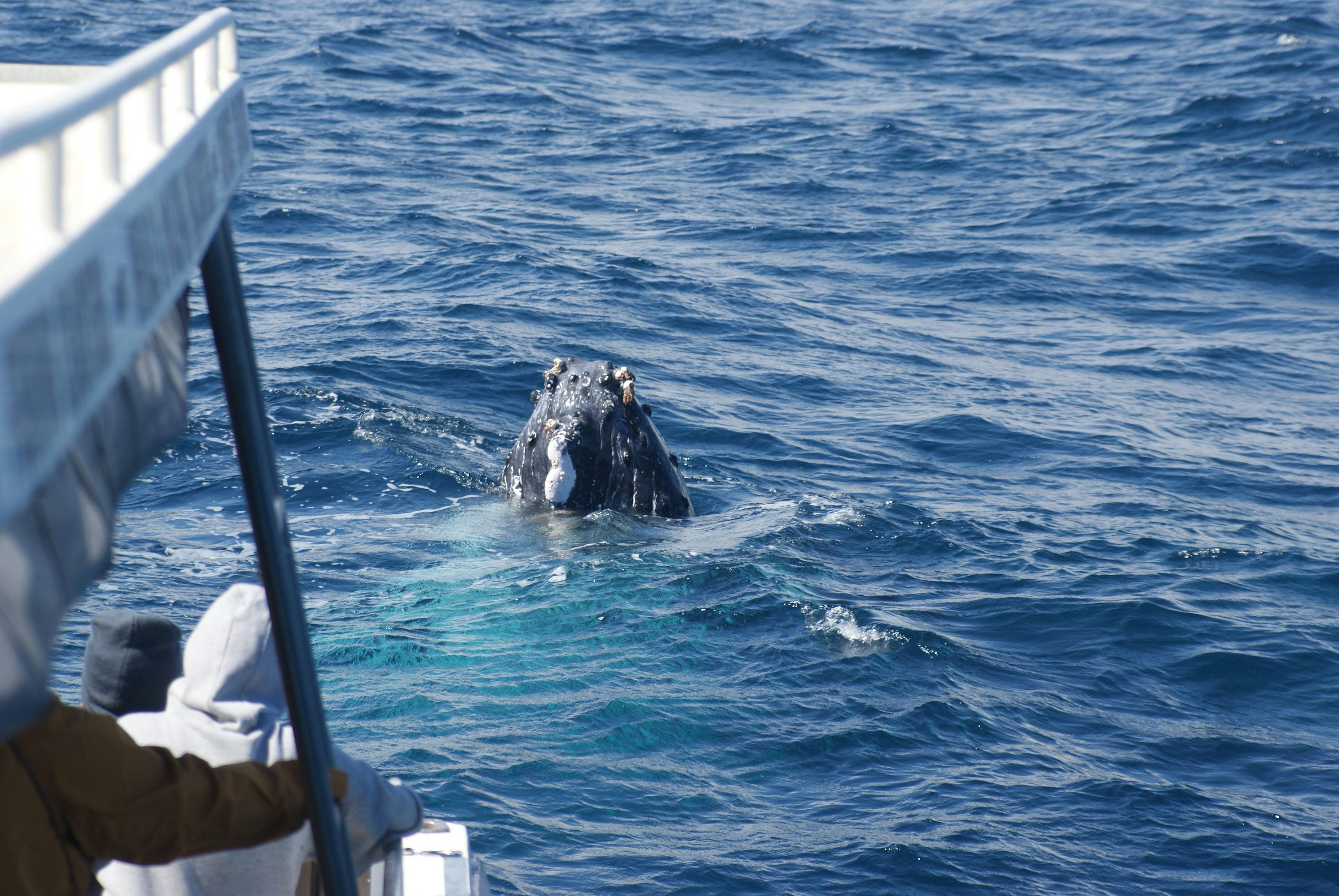 Reefwalker Charters, Kalbarri, Western Australia