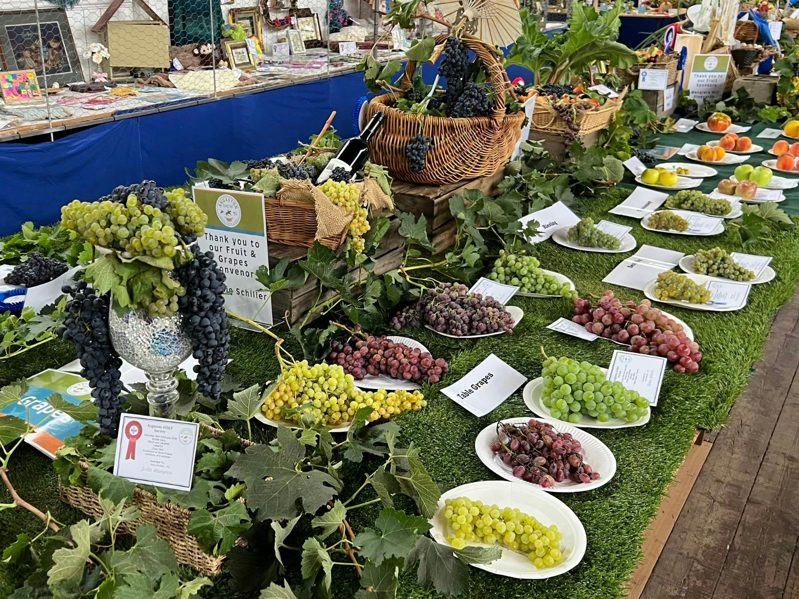Grapes at the Angaston Show