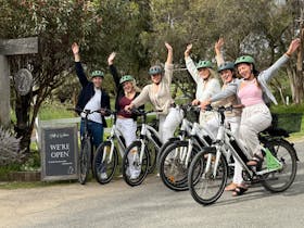 McLaren Vale eBike and eTukTuk Tours from Adelaide | SA eBikes