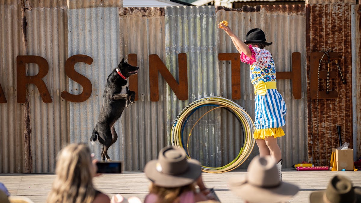 Dee Dee Diamantina performing with Crackup Sister Rowdy
