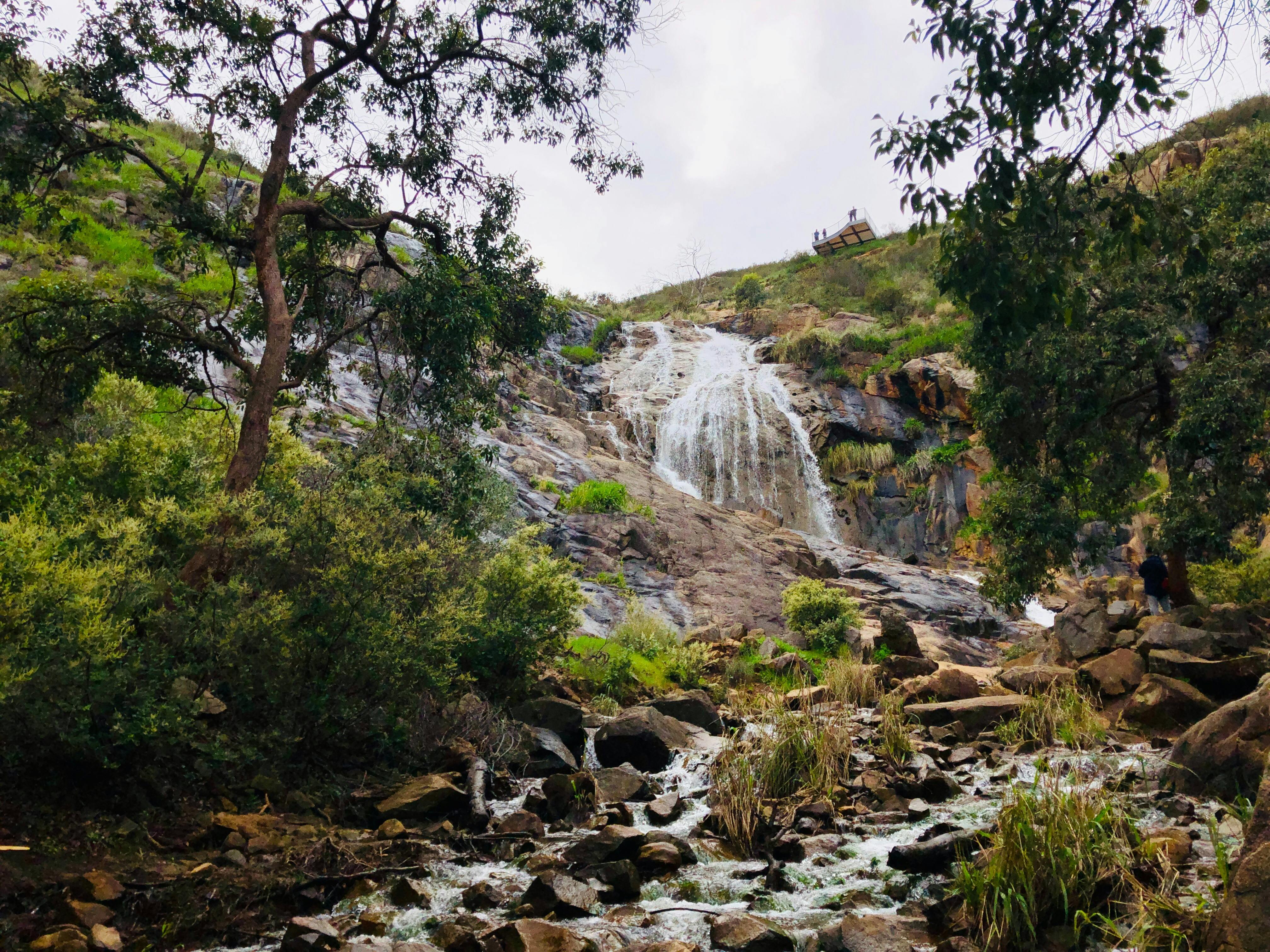 Waterfalls, Wildflowers & Wandoo | Hiking Experience