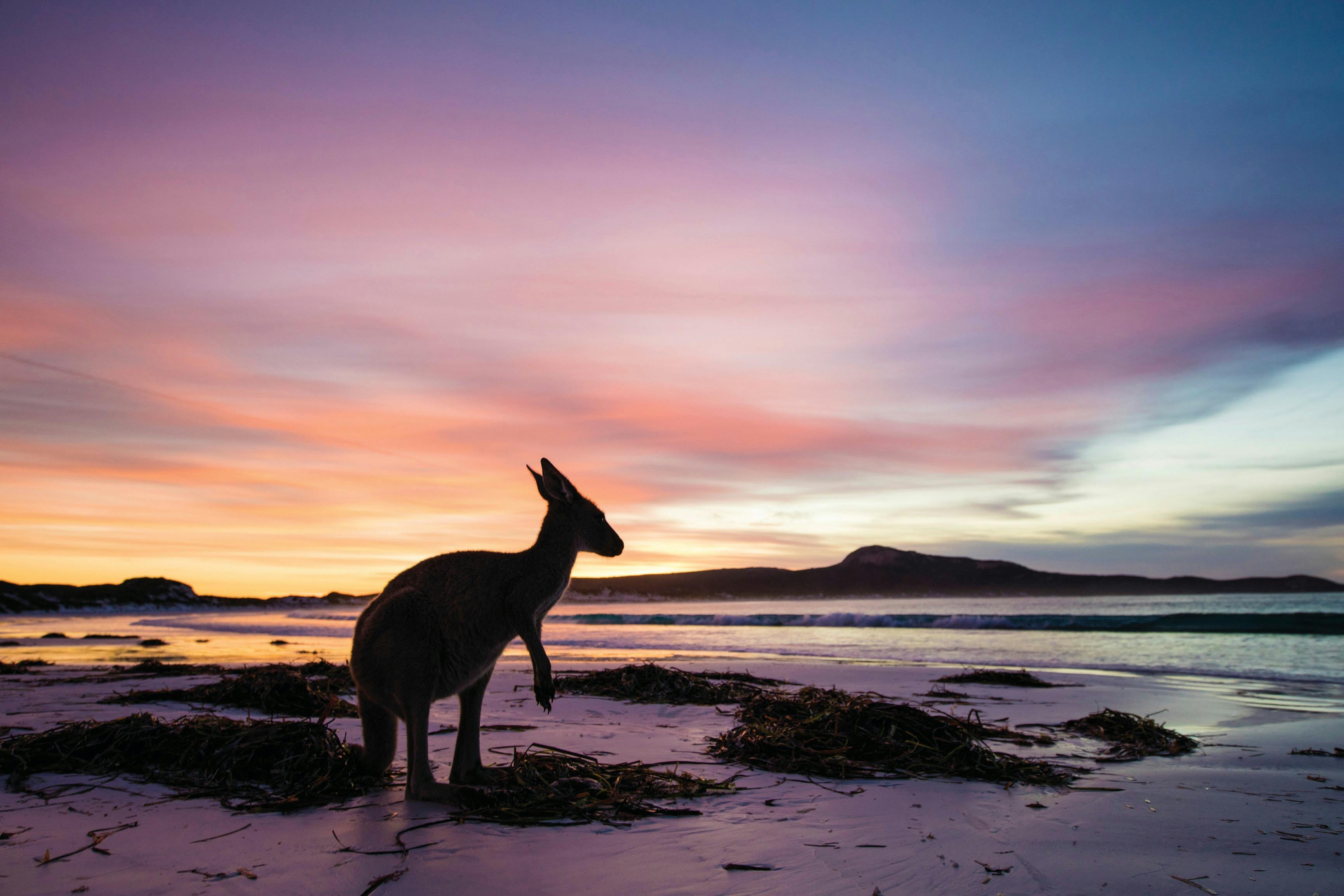 The South West and Golden Outback, Esperance, Western Australia