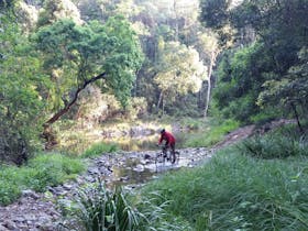 Ride On Mary...Kayak and Bike Bush Adventures