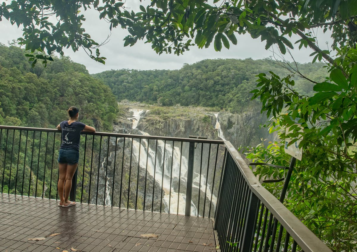 Person stands at railing of lookout high above gorge with views of waterfall.