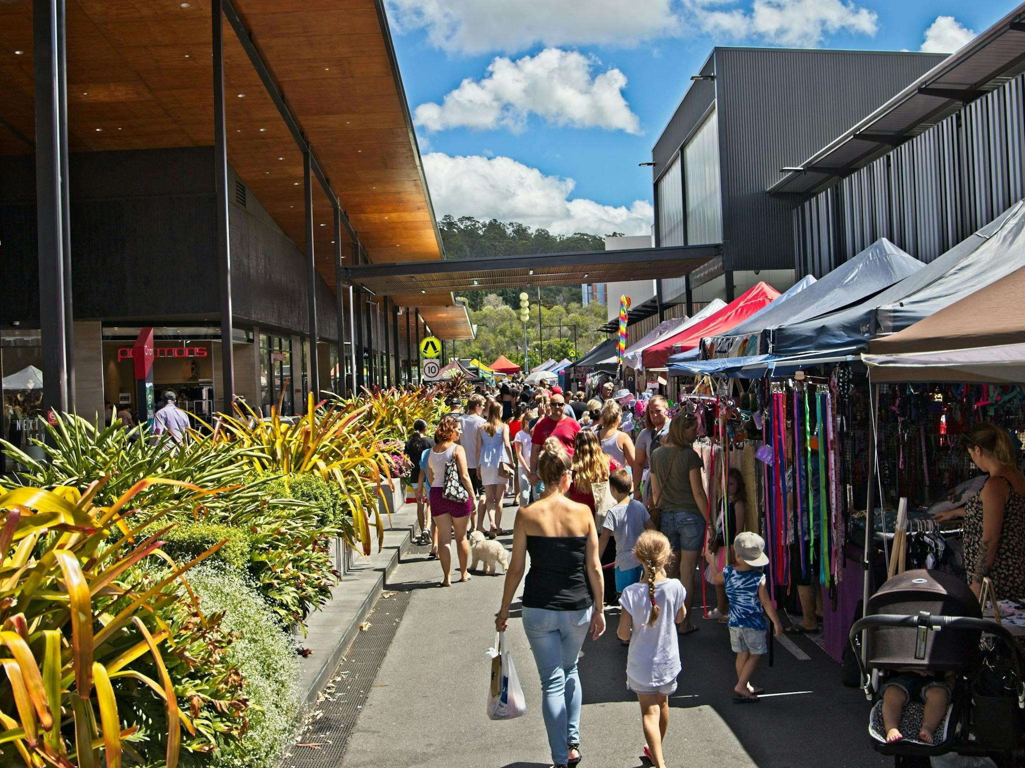 Stallholders Stallholders