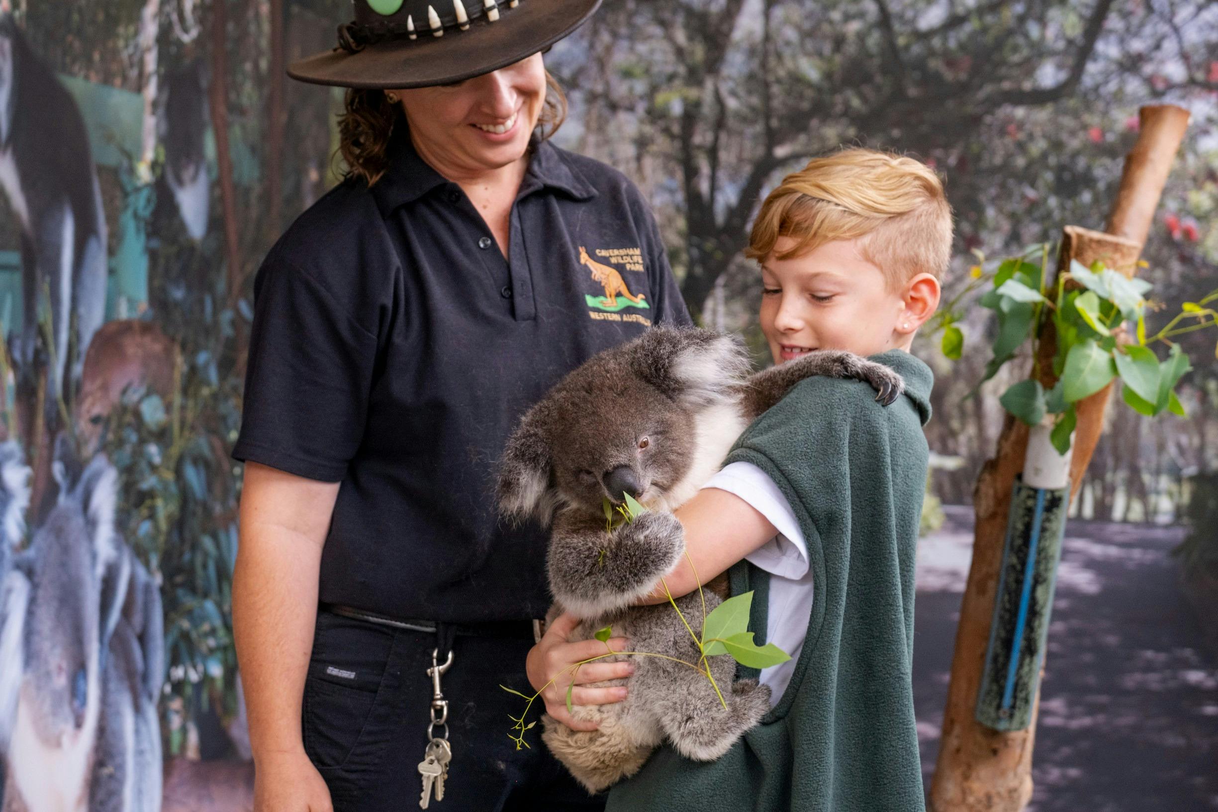 Holding a koala at Caversham Wildlife Park in the Swan Valley