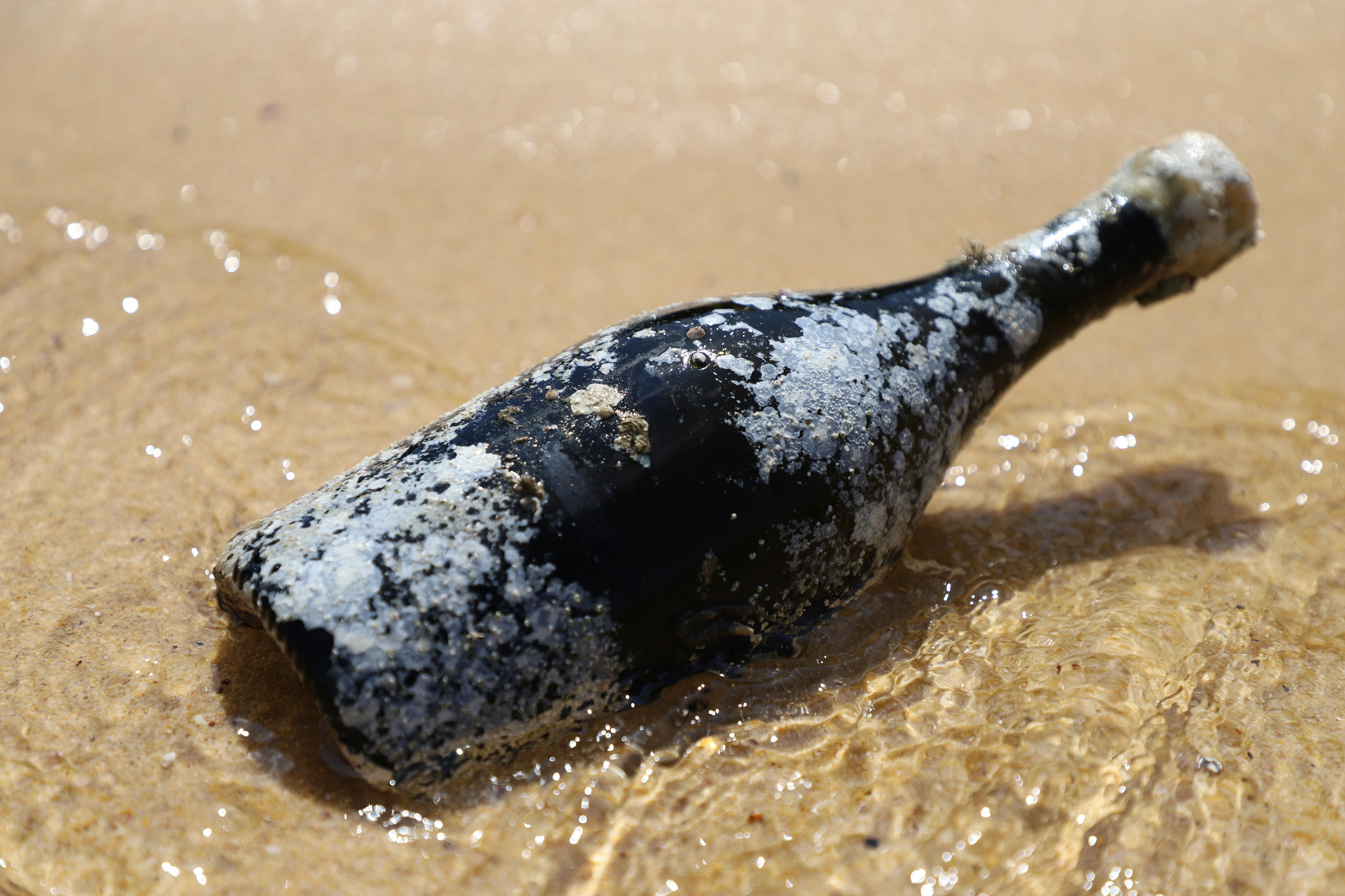 Ocean Aged Wine