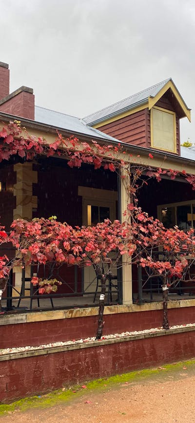 Southern Highlands Wine Tour -  Vino Rosso Tours