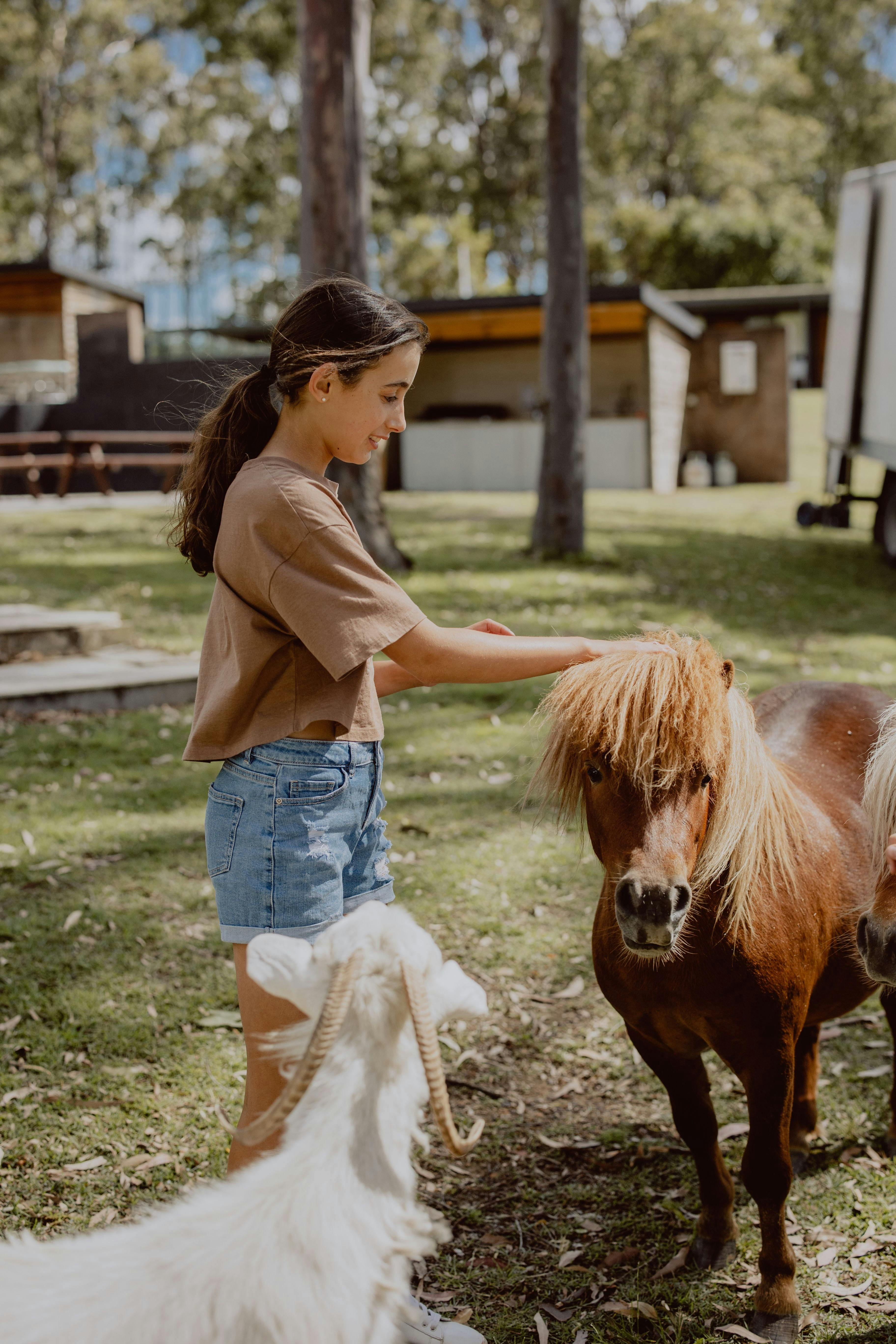 Young girl patting a horse