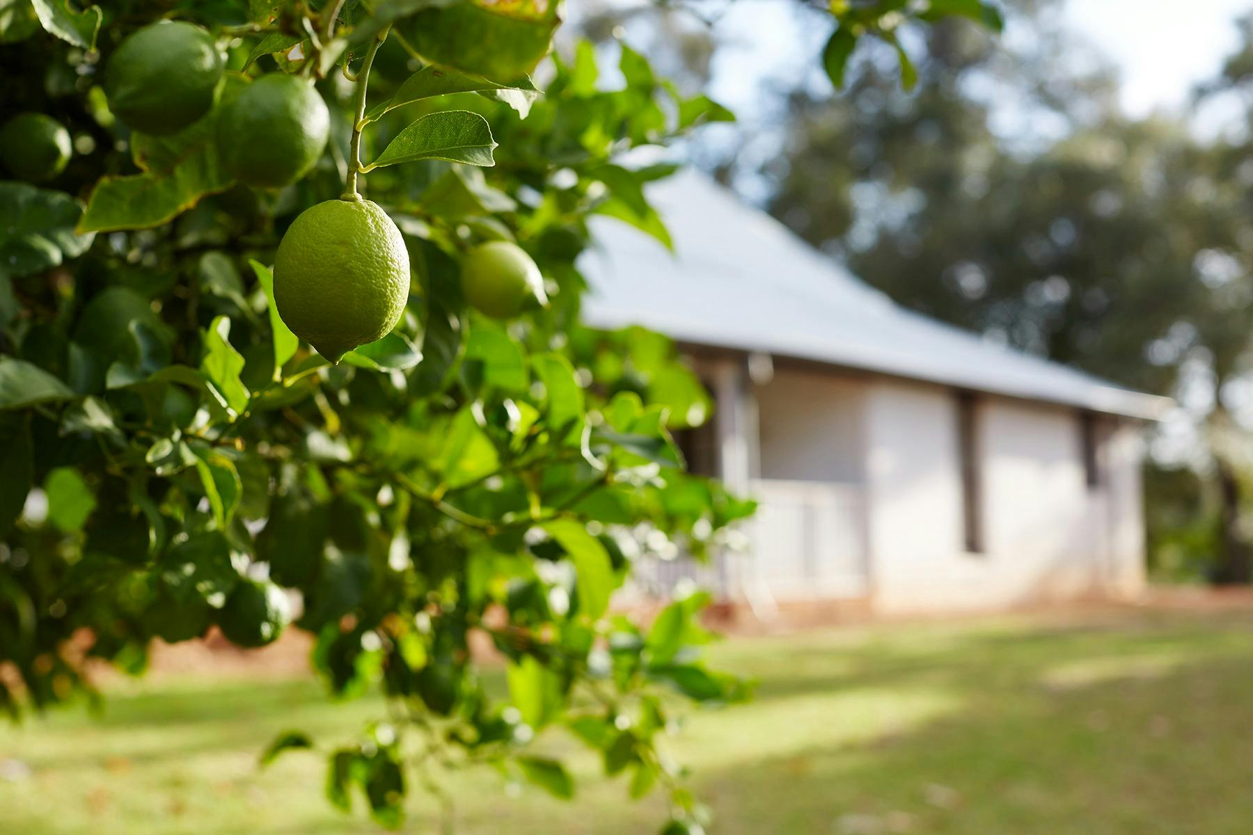 Peninsula Farm at Wu-rut Woorat on Whadjuk Nyoongar Country