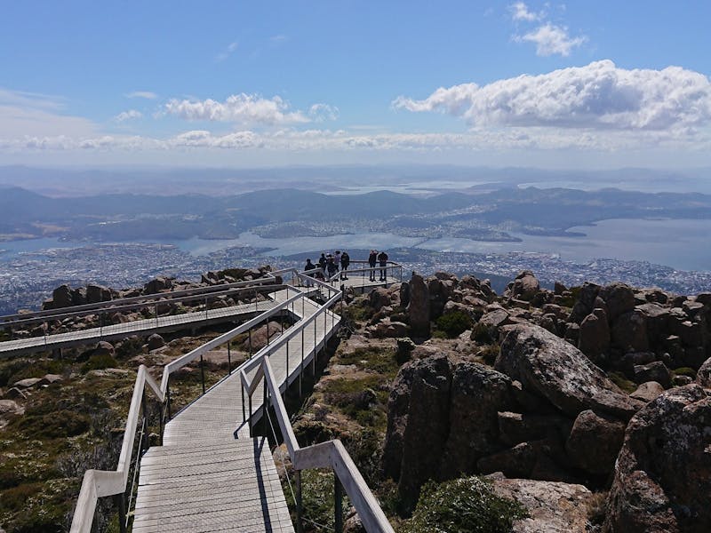 A small group of people enjoy the view of Hobart from the lookout on kunanyi/Mt Wellington.