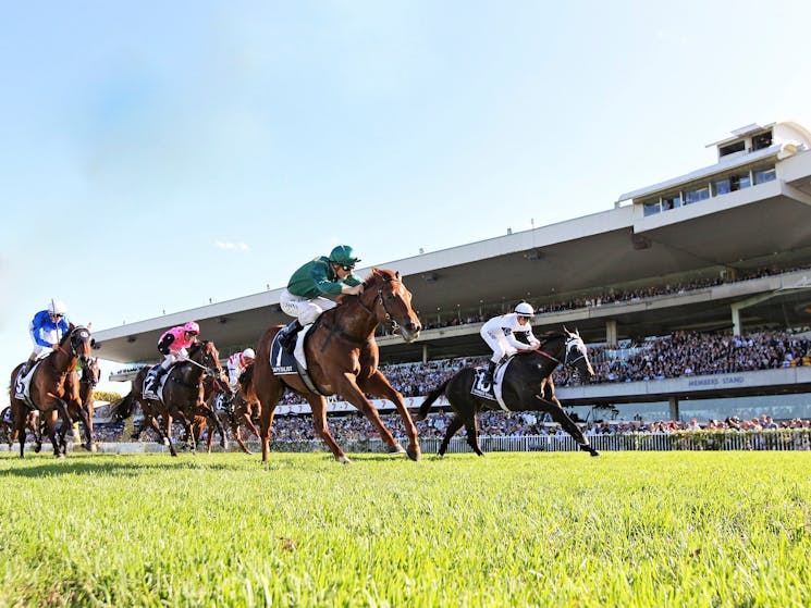 Rosehill Gardens Racecourse Sydney, Australia Official Travel