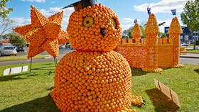 Griffith Spring Fest - Real Juice Company Citrus Sculptures