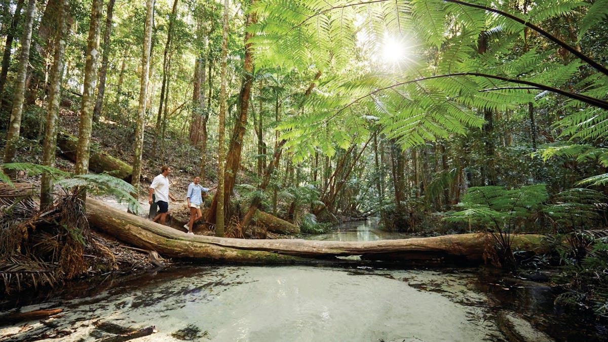 photo showing a coupe walkingbeside Wangoolba Creek