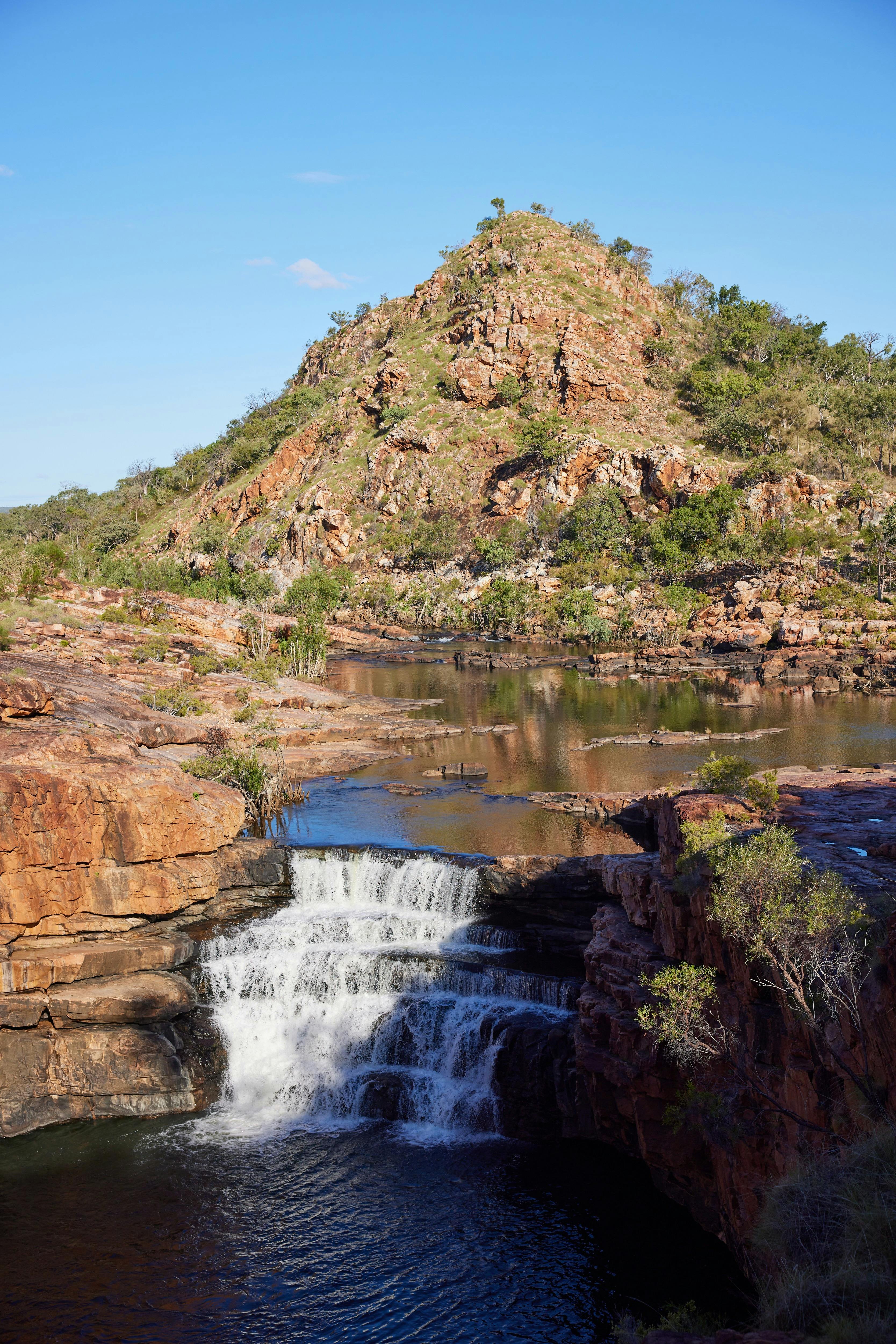 Dalmanyi (Bell Gorge)
