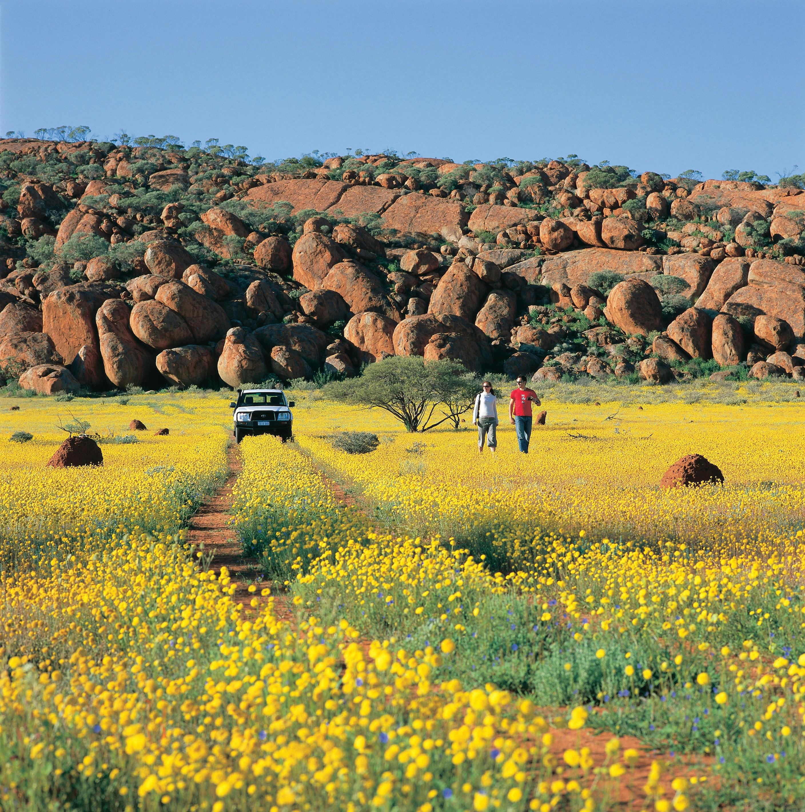 Wool Wagon Pathway, Murchison, Western Australia