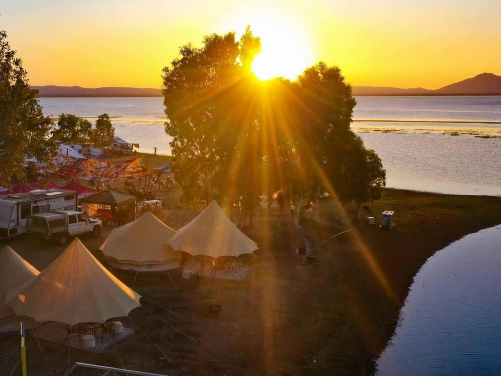 Flametree Gathering at Sunset