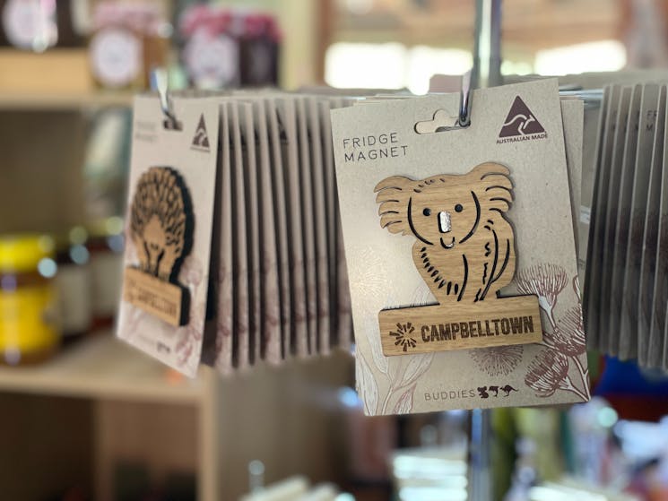 koala and echidna wooden fridge magnets with the word Campbelltown