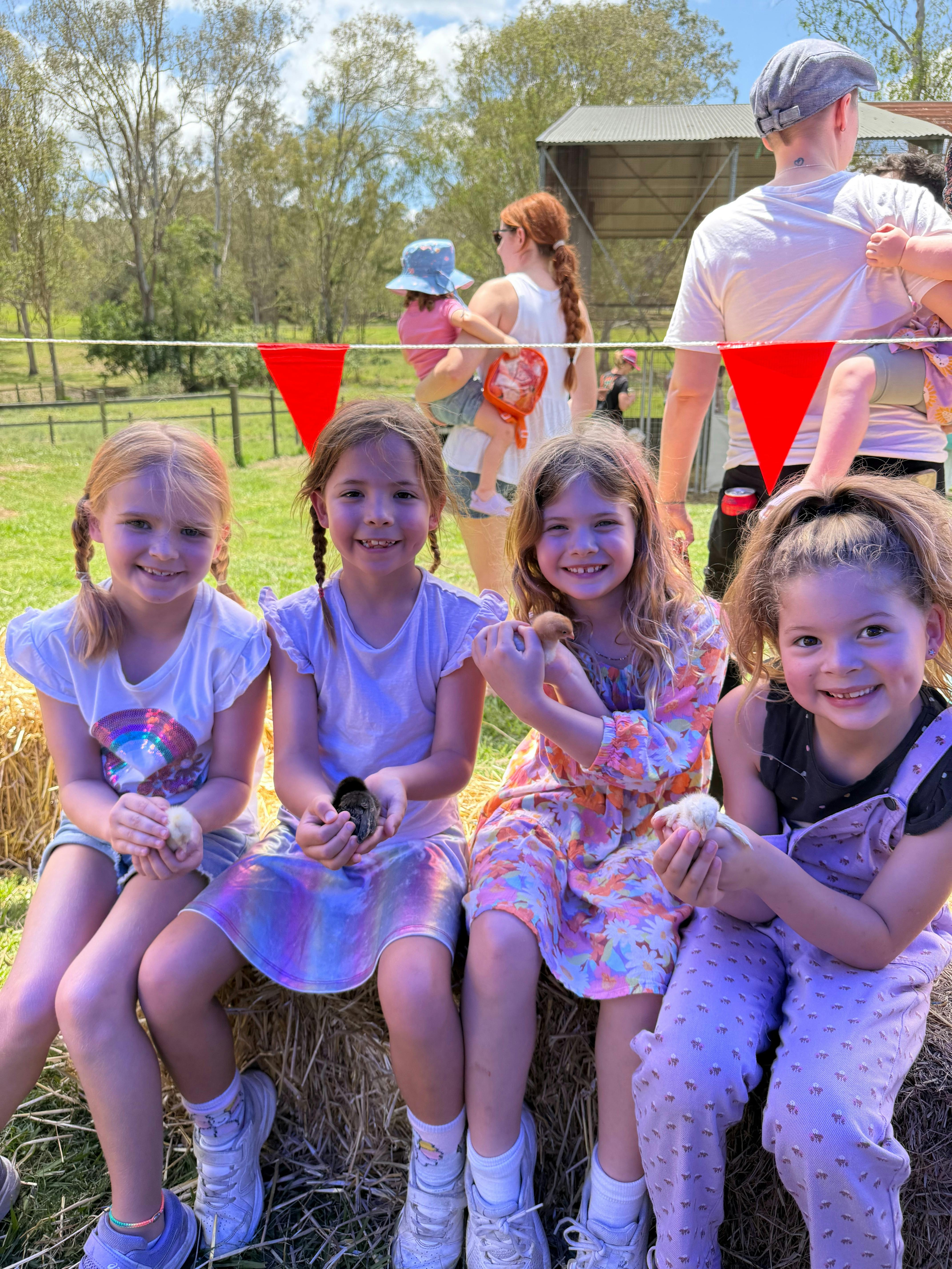 Harrisville Sunday Farm Day