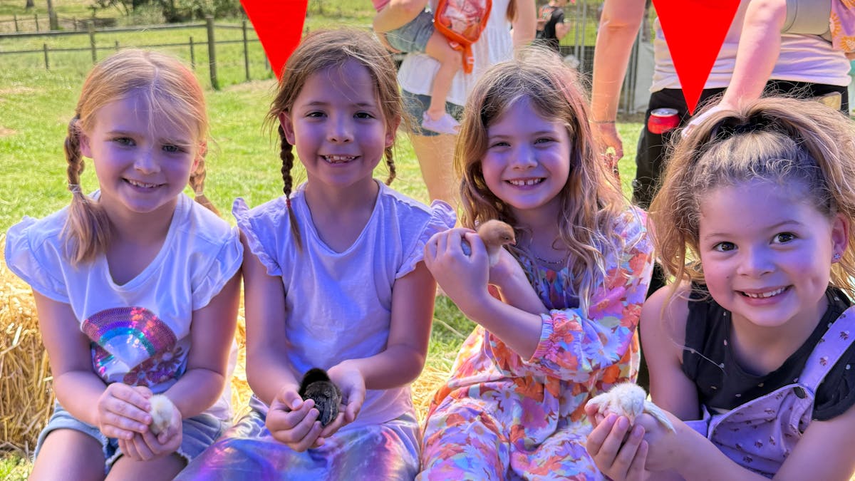 kids holding baby chicks