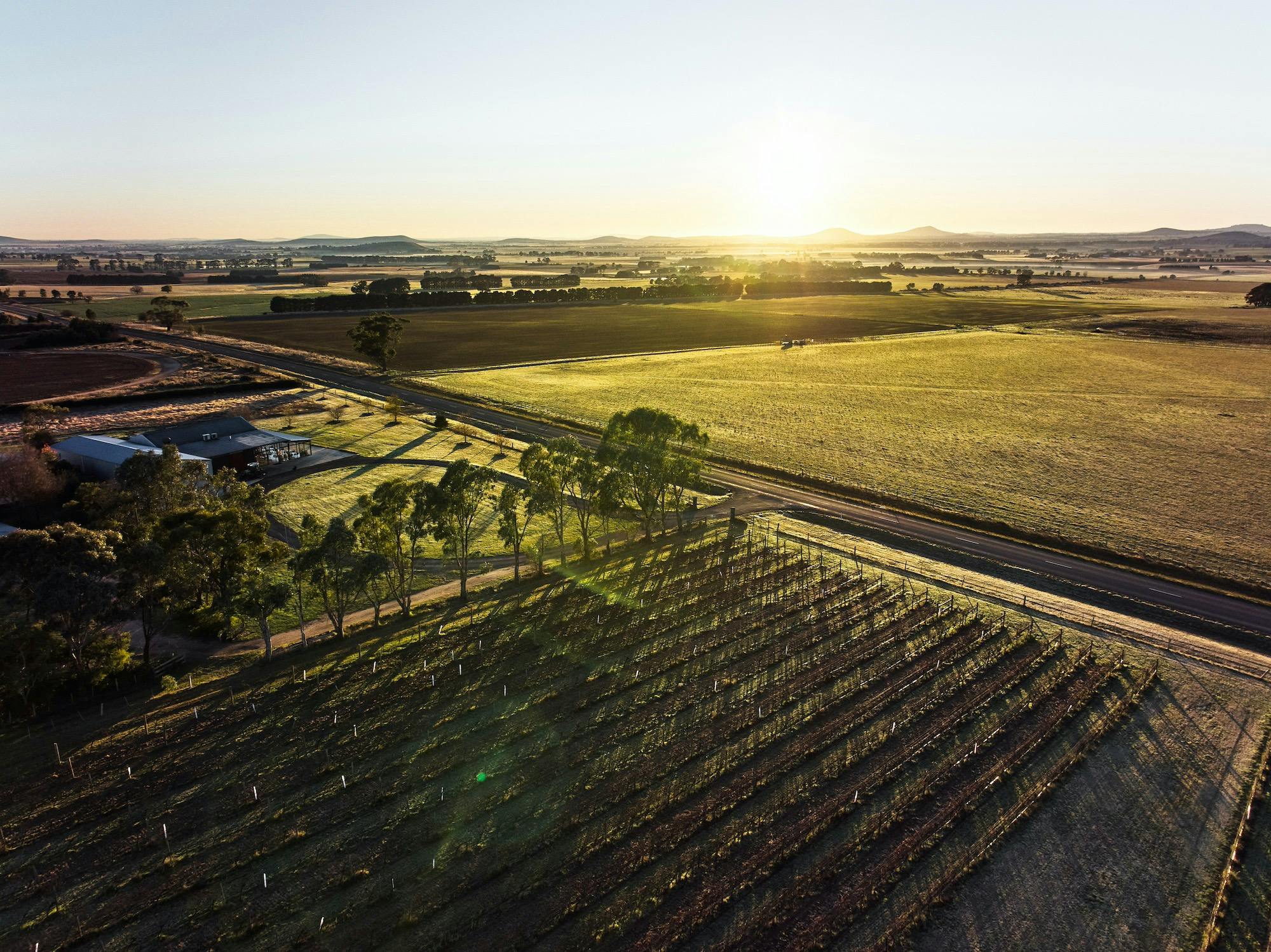 Eastern Peake -  Taste 41 years of winemaking craft
