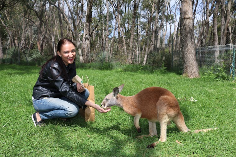 Cleland Hike and Wildlife